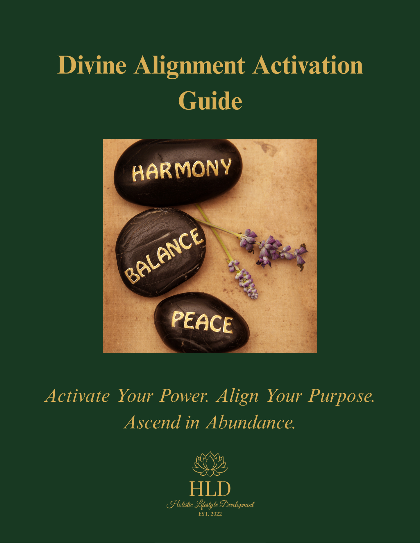 The Divine Alignment Activation Guide