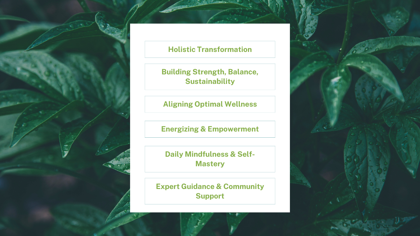 Holistic Fitness Foundation Challenge