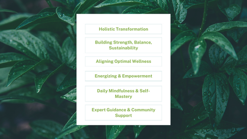 Holistic Fitness Foundation Challenge